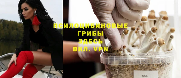 гидропоника Россошь