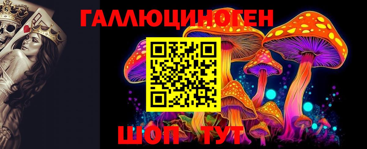Галлюциногенные грибы GOLDEN TEACHER  Вход с VPN  Аксай 