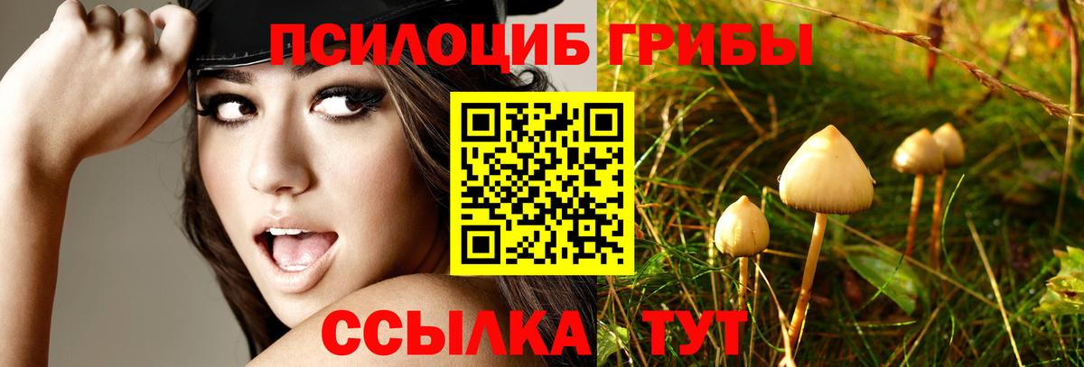 Псилоцибиновые грибы ЛСД Аксай